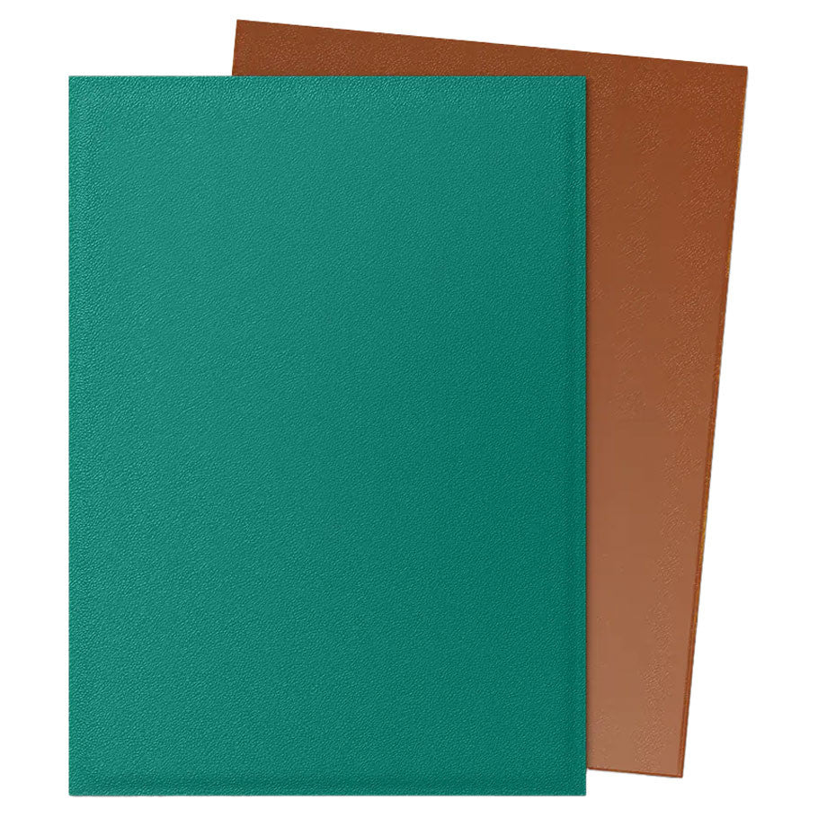 Dragon Shield: 100 Standard Dual Matte Card Sleeves